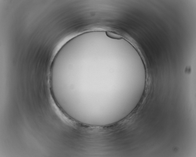 X0000110860811200906180944