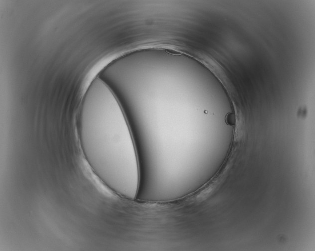 X0000110860812200906180944