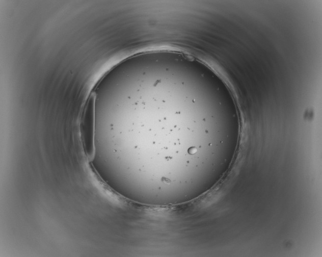 X0000110860813200906180944