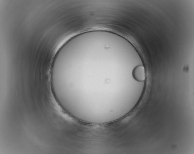 X0000110860814200906180944