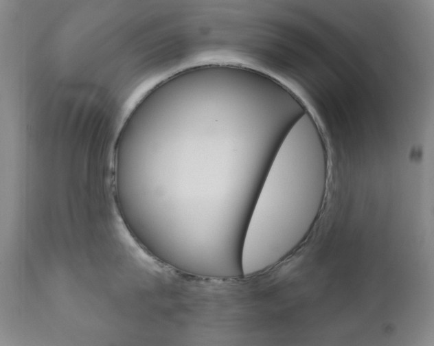 X0000110860815200906180944