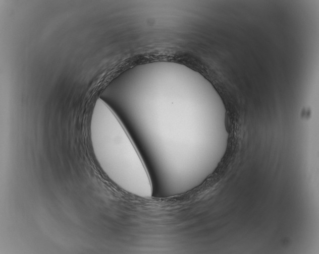 X0000110860818200906180943