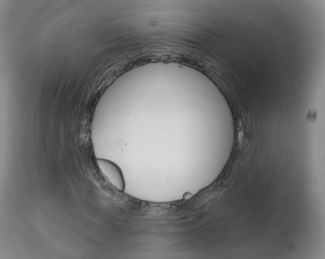 X0000110860819200906180943