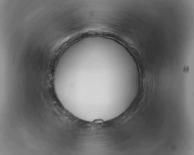 X0000110860822200906180943