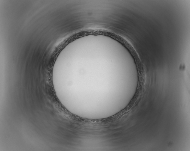 X0000110860823200906180943