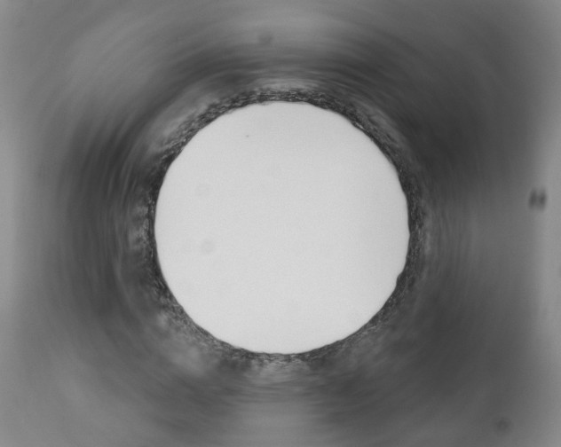 X0000110860824200906180943