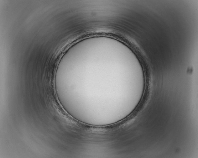 X0000110860825200906180943