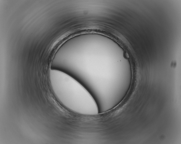 X0000110860826200906180943