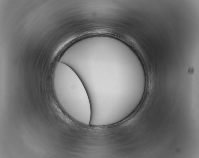 X0000110860827200906180943