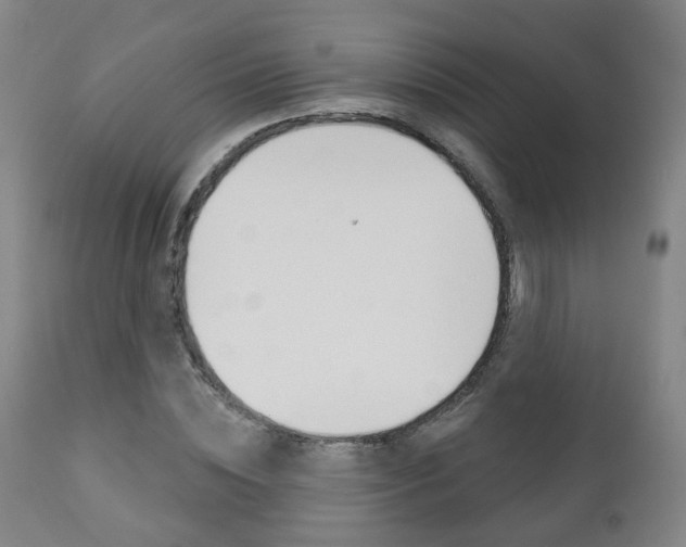 X0000110860828200906180943