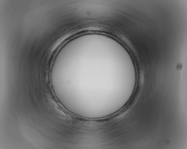 X0000110860829200906180943
