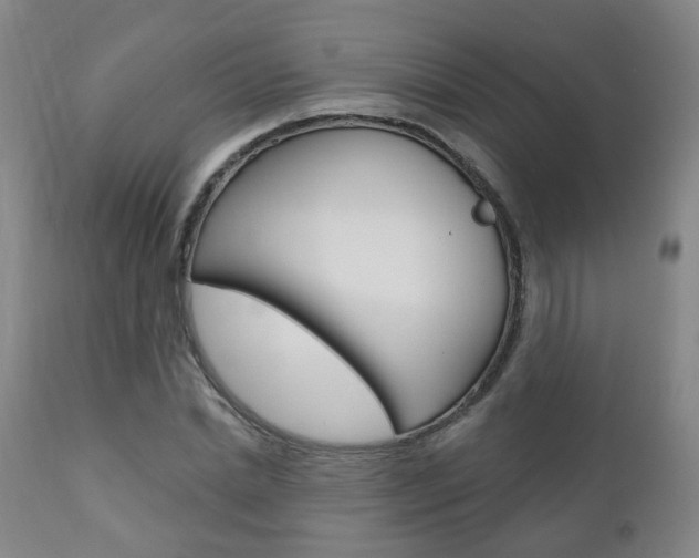 X0000110860830200906180943