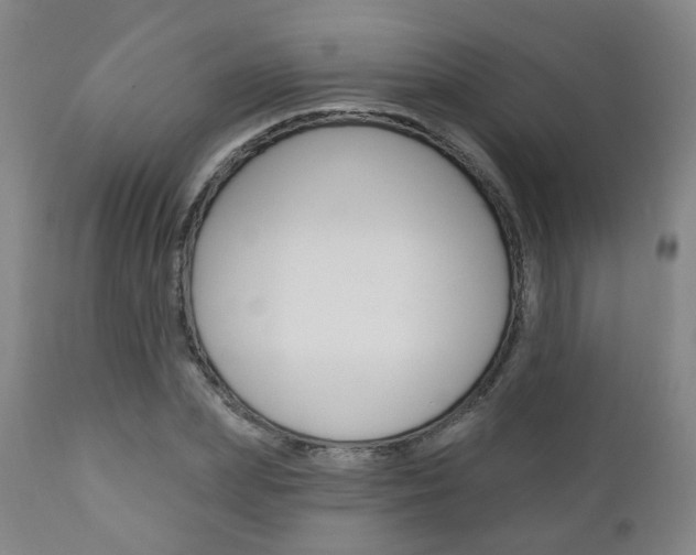 X0000110860831200906180943