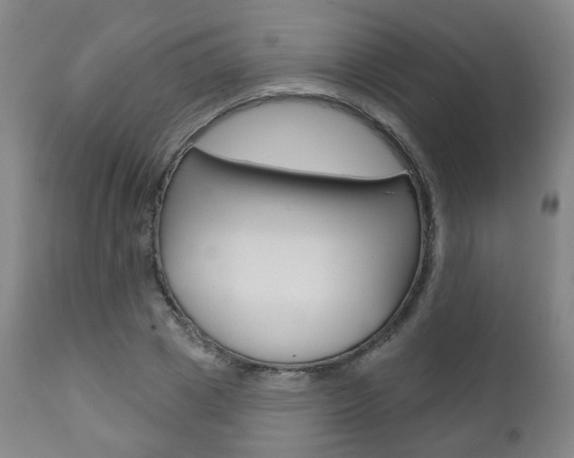 X0000110860833200906180943