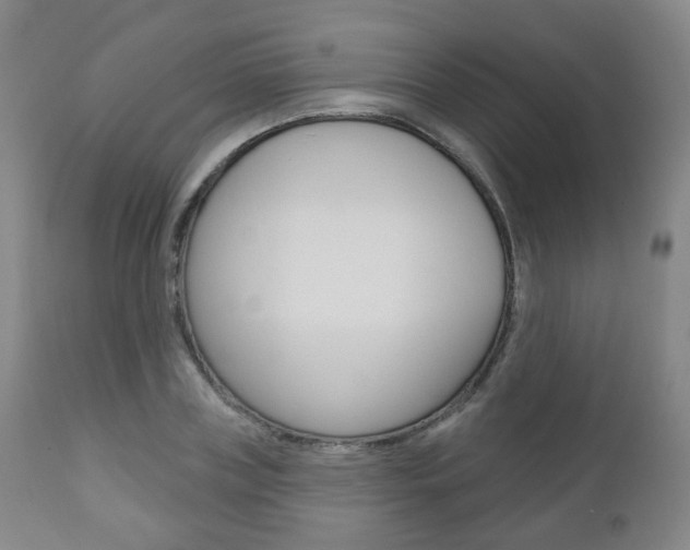 X0000110860835200906180943