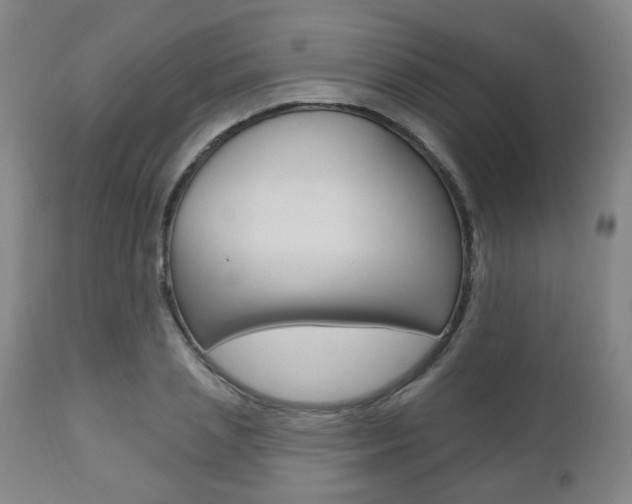 X0000110860837200906180943