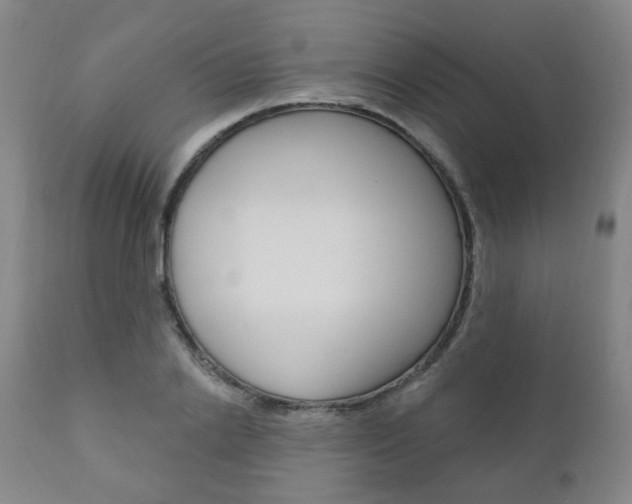 X0000110860838200906180943