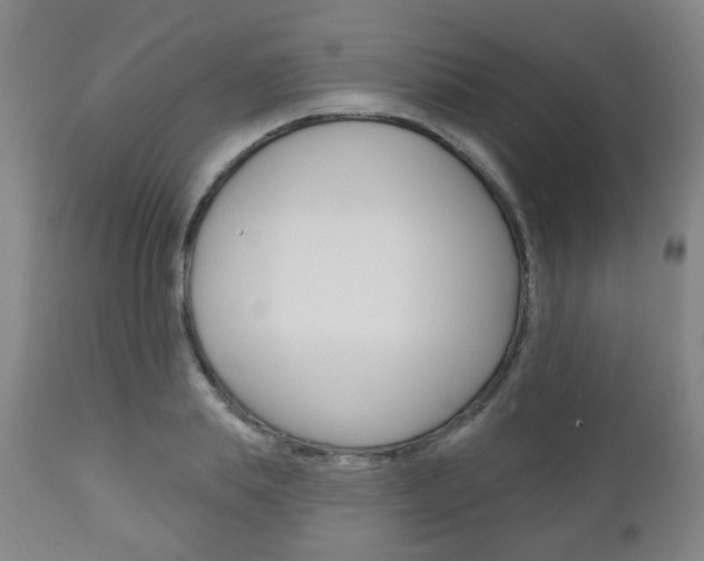 X0000110860839200906180943