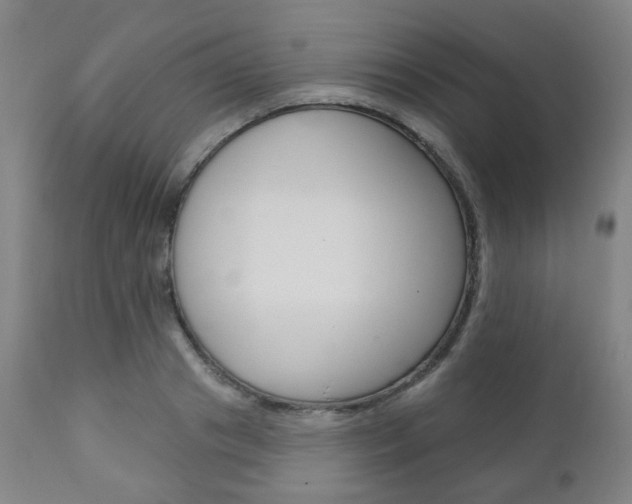 X0000110860841200906180943