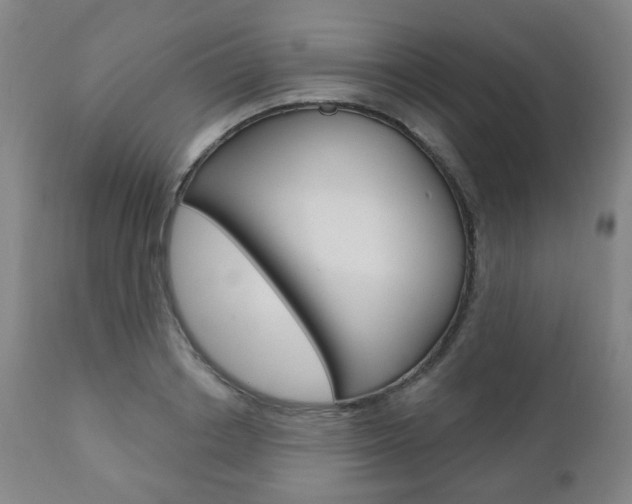 X0000110860842200906180943