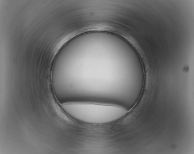 X0000110860850200906180943