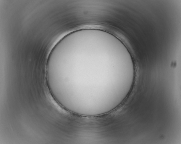 X0000110860852200906180943