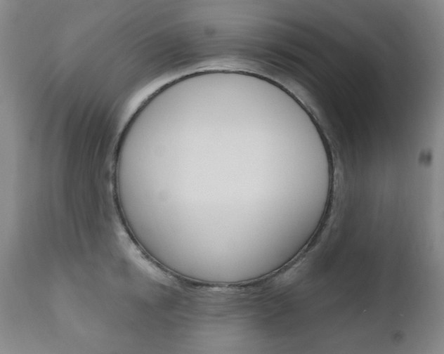 X0000110860854200906180943
