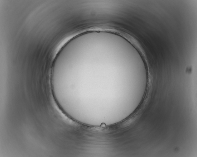 X0000110860855200906180943