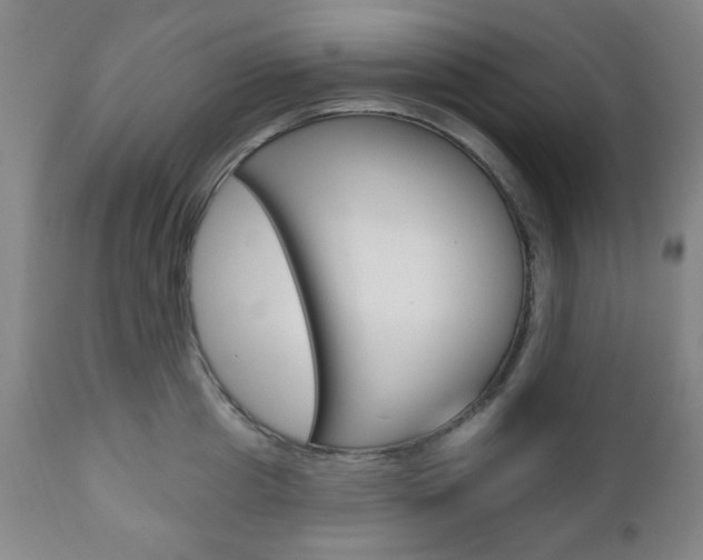 X0000110860857200906180943