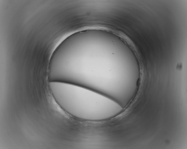 X0000110860860200906180943