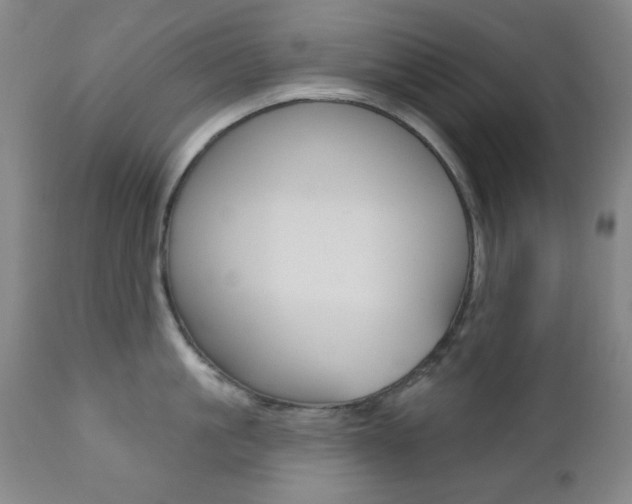 X0000110860861200906180943