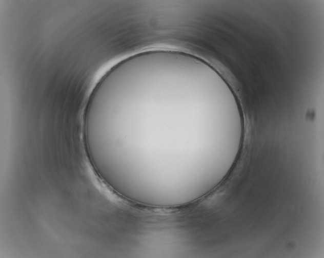 X0000110860862200906180943