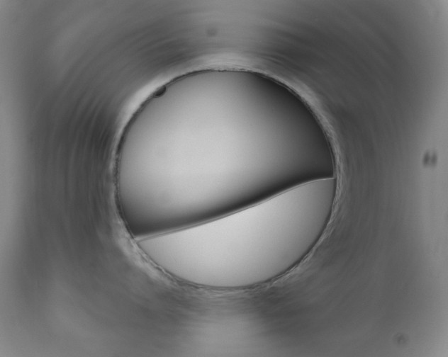 X0000110860864200906180943