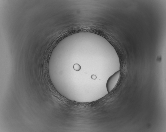 X0000110860865200906180943