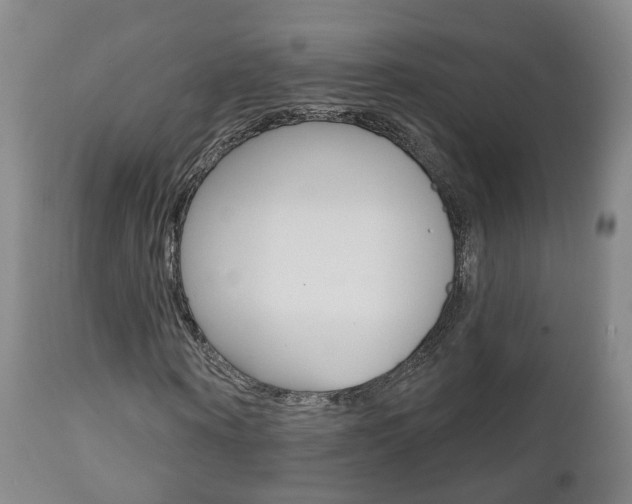 X0000110860866200906180943