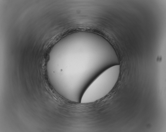 X0000110860867200906180943