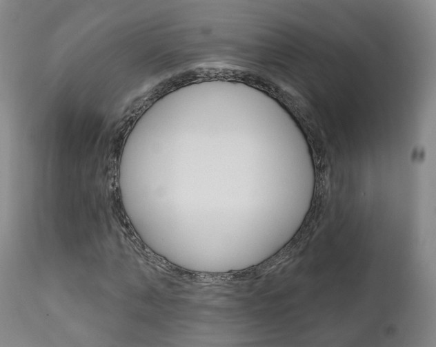 X0000110860870200906180943