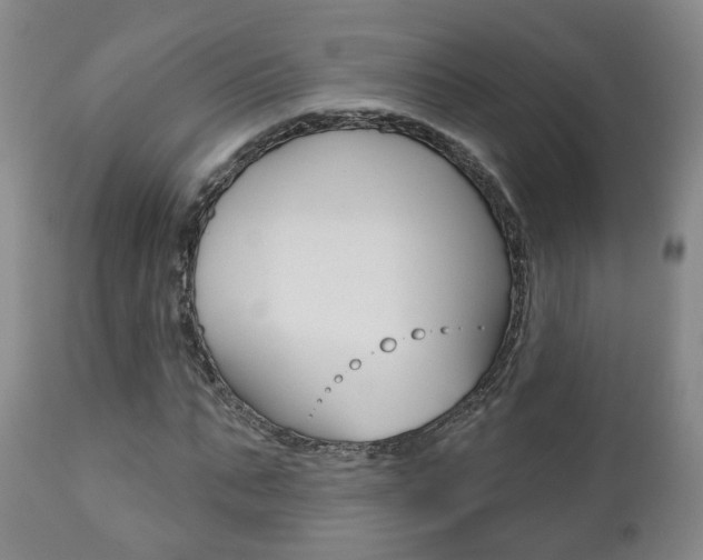 X0000110860871200906180943