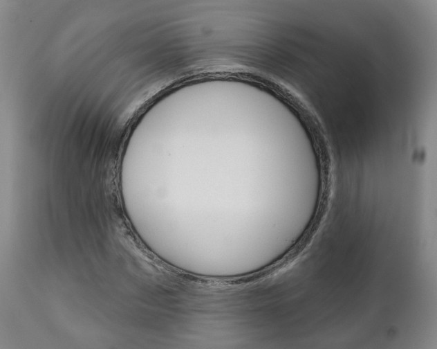 X0000110860873200906180943