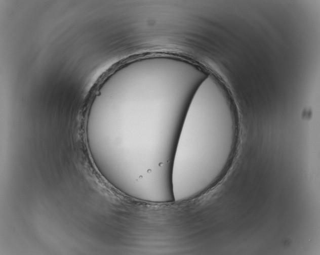 X0000110860875200906180943