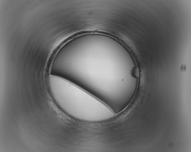 X0000110860876200906180943