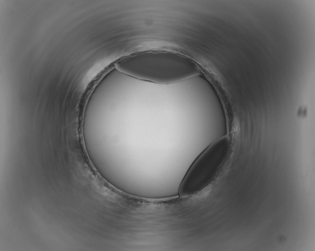 X0000110860877200906180943
