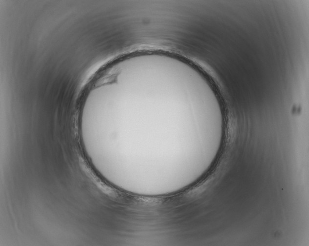 X0000110860878200906180943