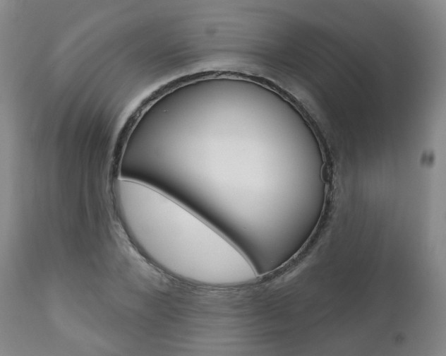 X0000110860880200906180943