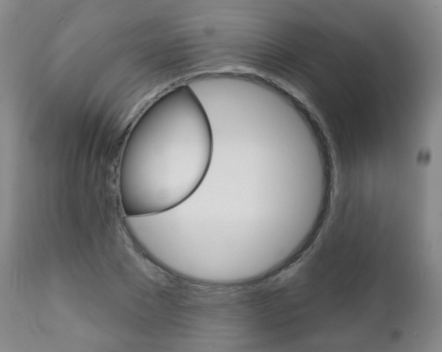 X0000110860881200906180943