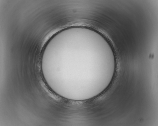X0000110860882200906180943