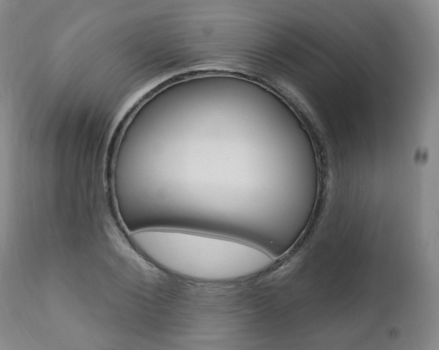 X0000110860884200906180943