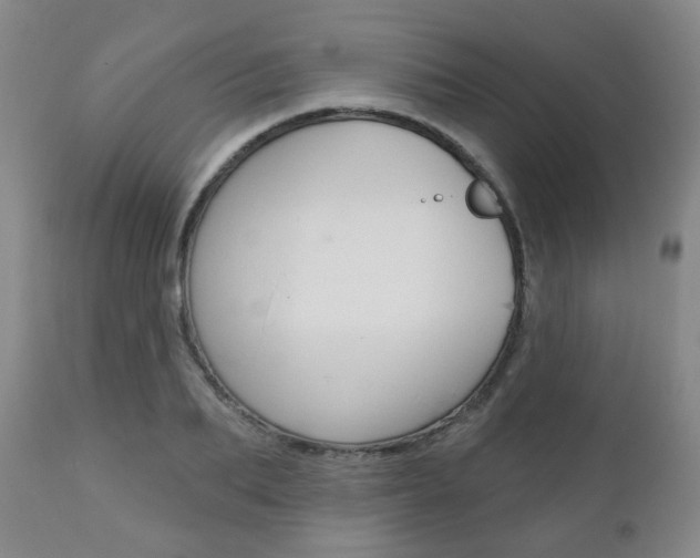 X0000110860887200906180943
