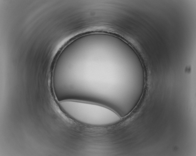 X0000110860888200906180943