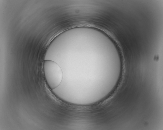 X0000110860889200906180943